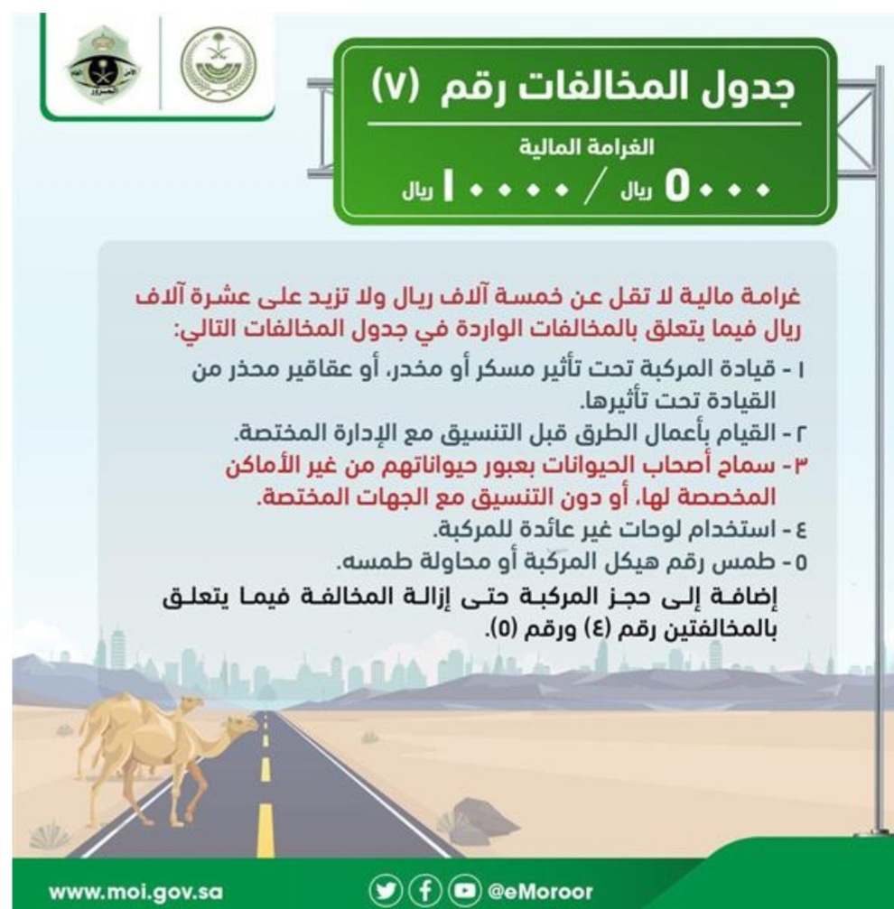 ": إضافة المجازفة بعبور الأودية أثناء جريانها للمخالفات المرورية بقيمة 10 آلاف ريال